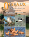 oiseaux-sahara-2023.png oiseaux-sahara-2023.png