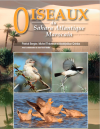 oiseaux-sahara-2023.png