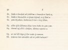 rais-belaid-amuddu-3.jpg